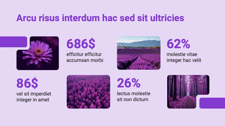 MellowForm Purple Creative slide 3